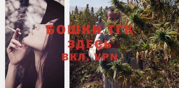 сатива Белокуриха