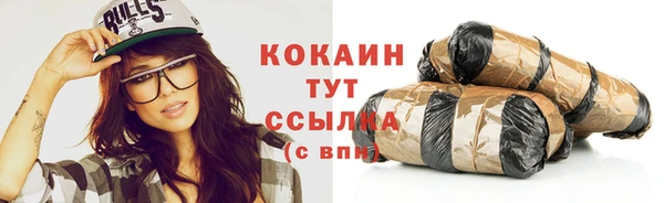 сатива Белокуриха