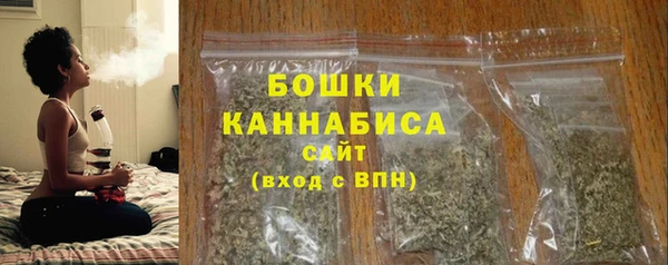 сатива Белокуриха