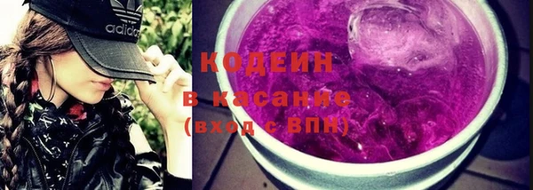 сатива Белокуриха
