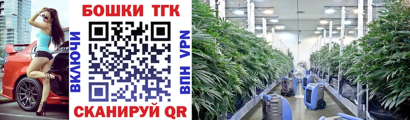 Канабис White Widow mega ТОР Ессентукская